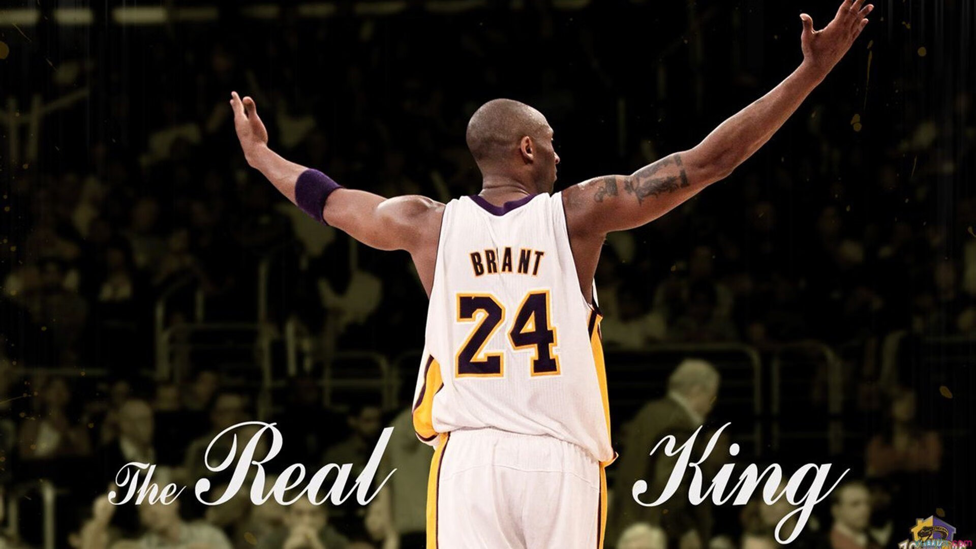 开云官方网站在线登陆-Scout在独行侠比赛中夺冠，出色发挥引发热议！观众掌声雷动